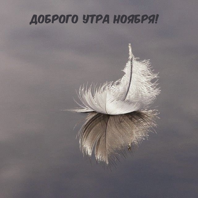 Доброго утра ноября!