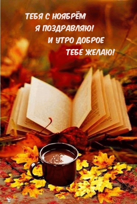 Тебя с ноябрём Я поздравляю! И утро доброе Тебе желаю!