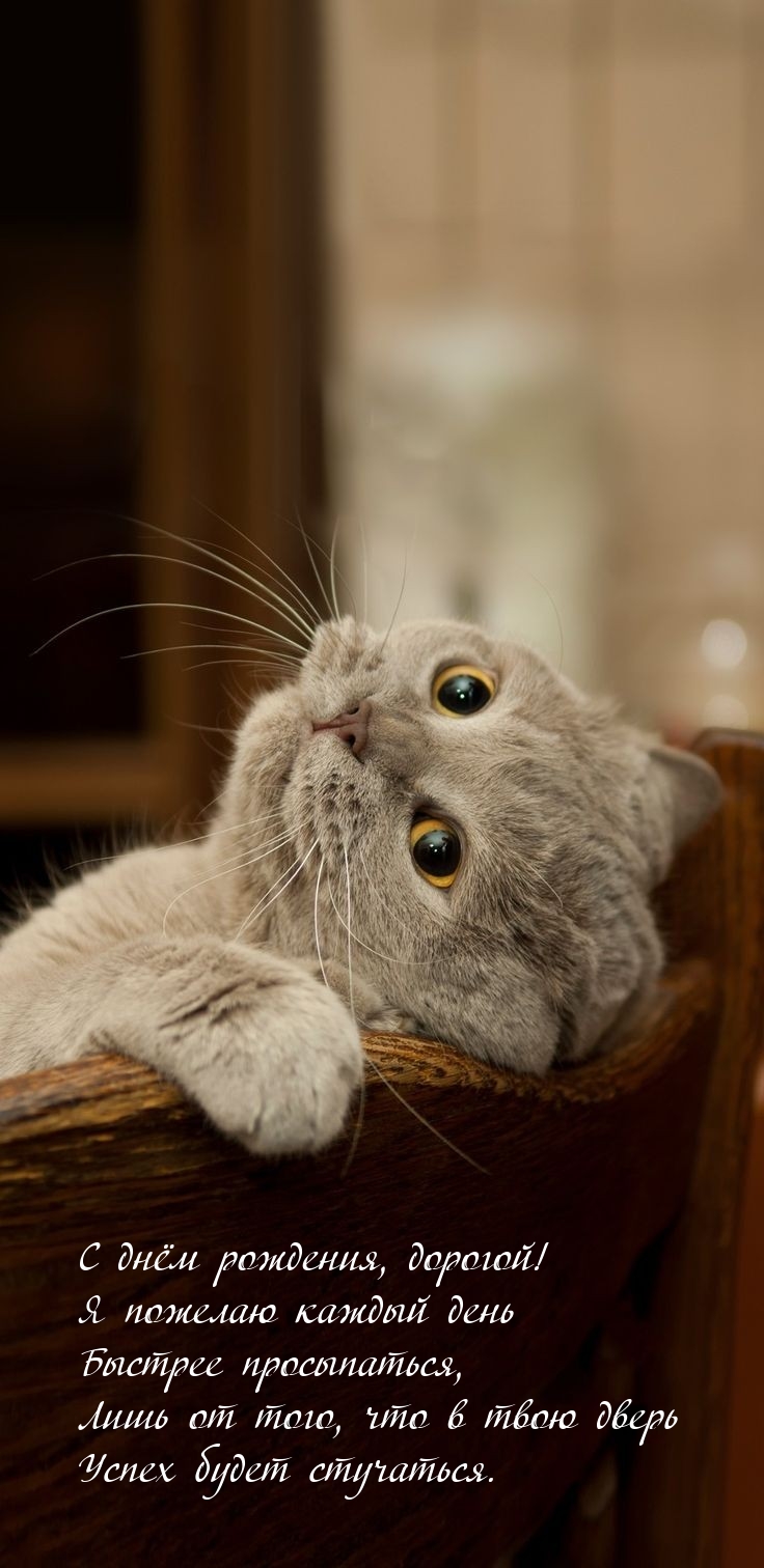 С днём рождения! Я пожелаю каждый день быстрее просыпаться