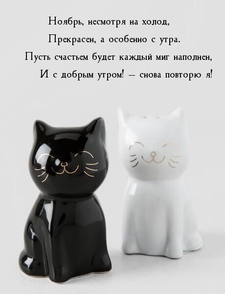 Ноябрь, несмотря на холод, прекрасен, а особенно с утра.