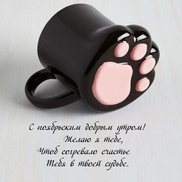 С ноябрьским добрым утром! Желаю, чтоб согревало счастье