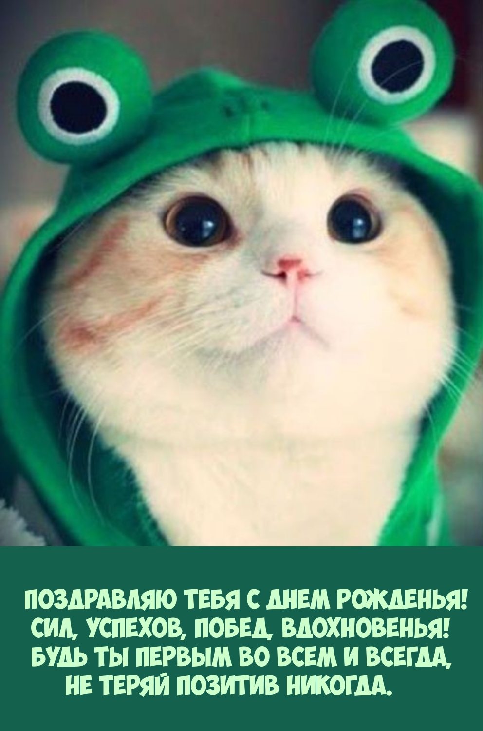 С днем рожденья! Сил, успехов, побед, вдохновенья!