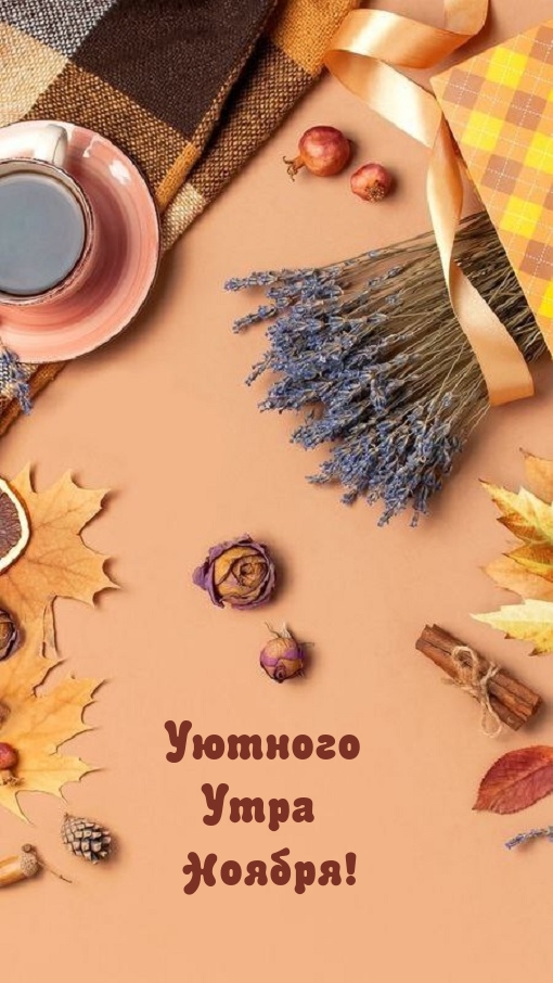 Уютного Утра Ноября!