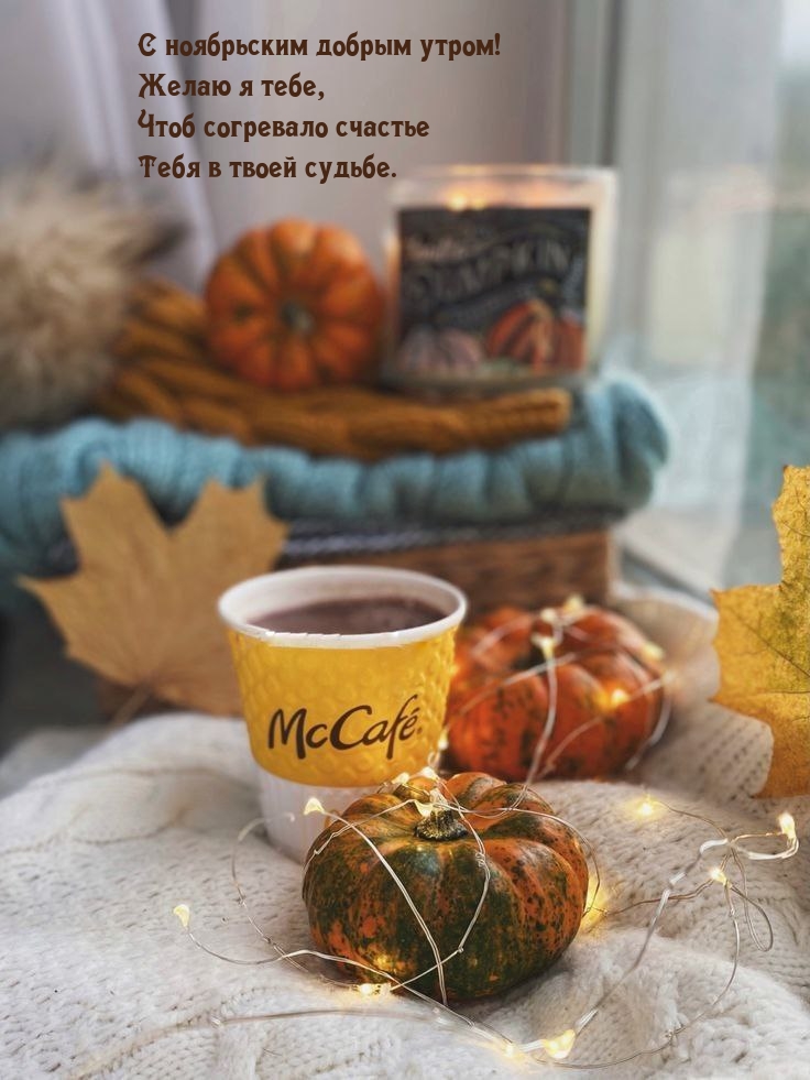 С ноябрьским добрым утром! Чтоб согревало счастье