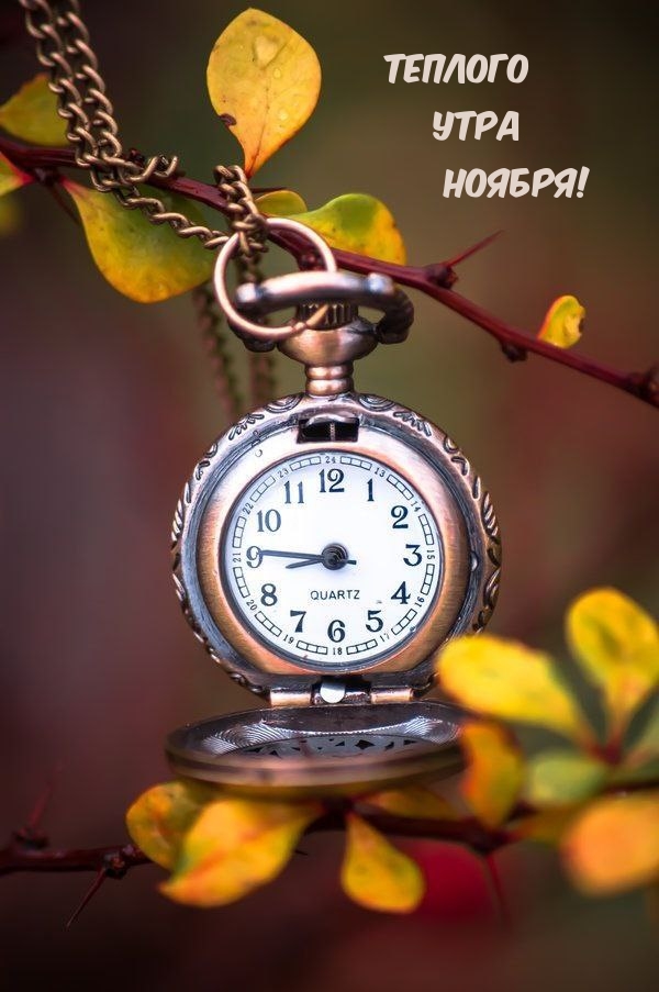 Теплого Утра Ноября!