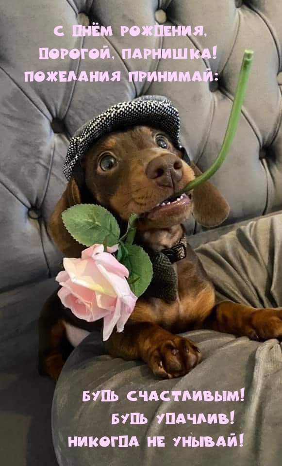 С Днём рождения, дорогой, парнишка!