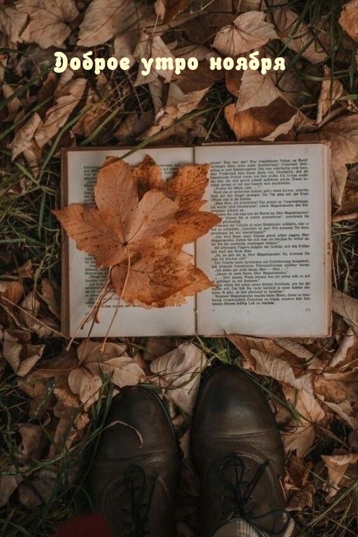 Доброе утро ноября