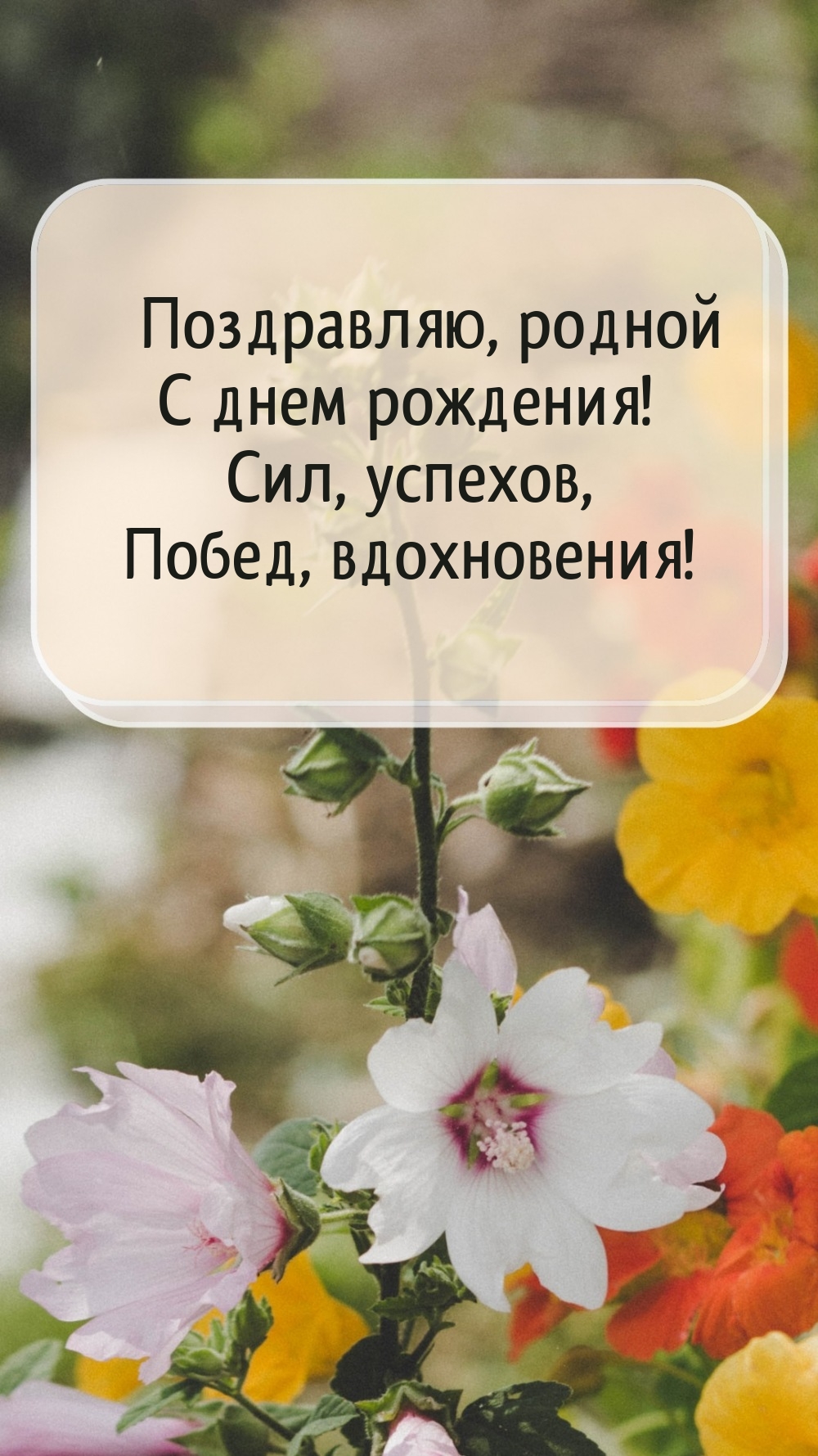 Поздравляю, родной с днем рождения! Сил, успехов