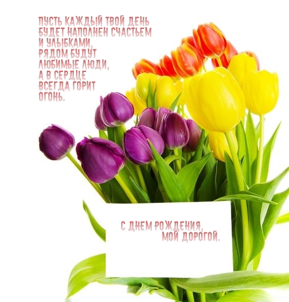 С днем рождения, мой дорогой.