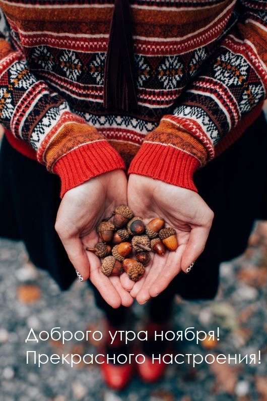 Доброго утра ноября! Прекрасного настроения!