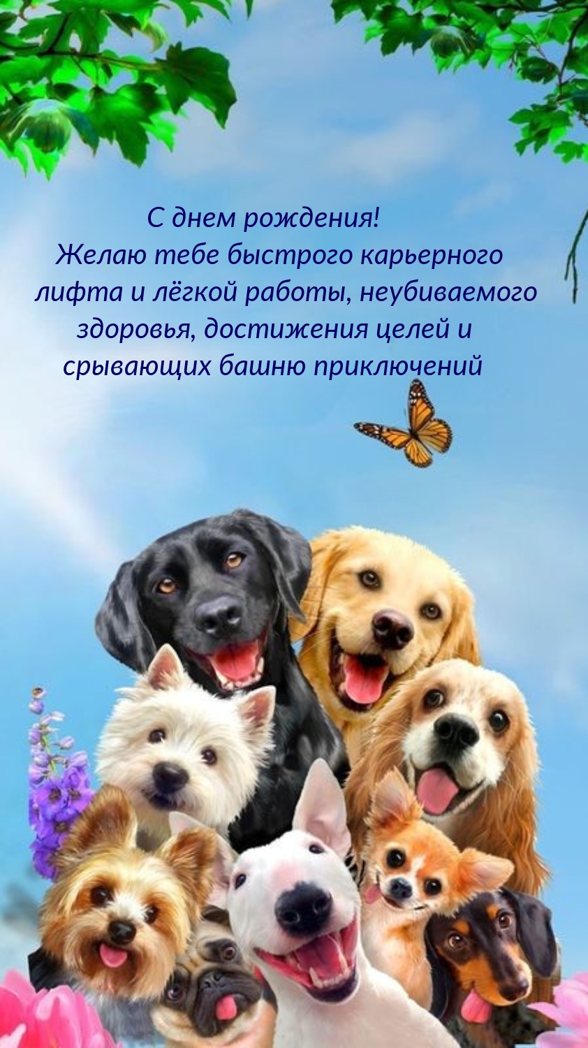 С днем рождения! Желаю тебе быстрого карьерного лифта