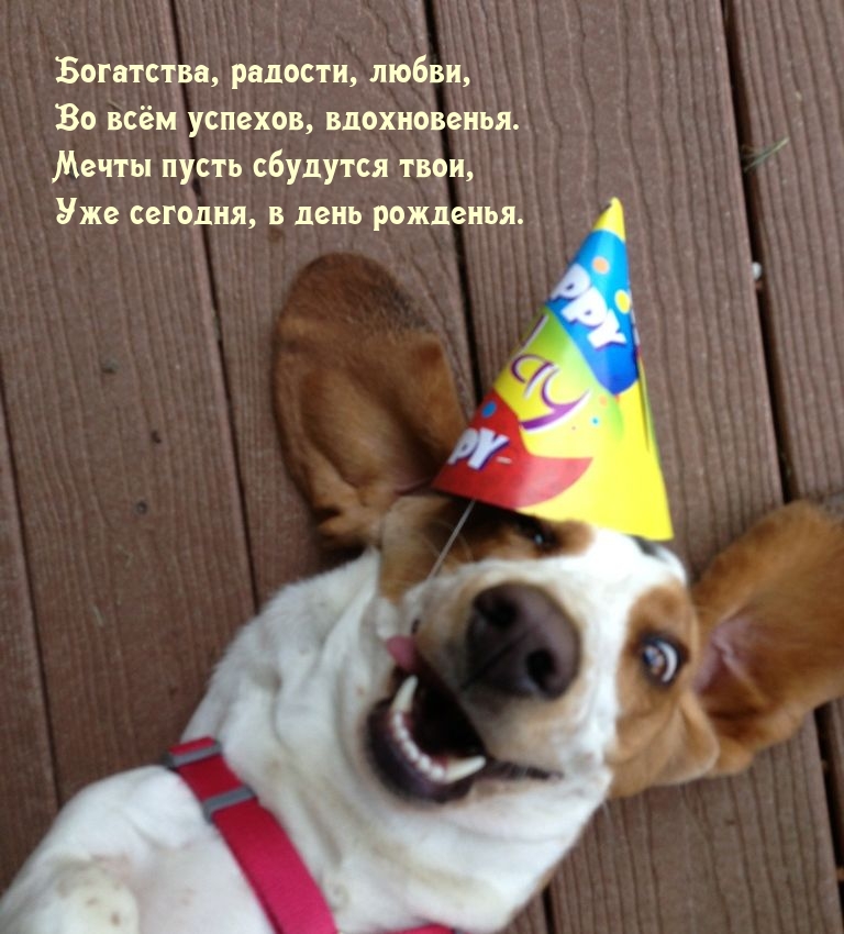 Богатства, радости, любви, Во всём успехов, вдохновенья.