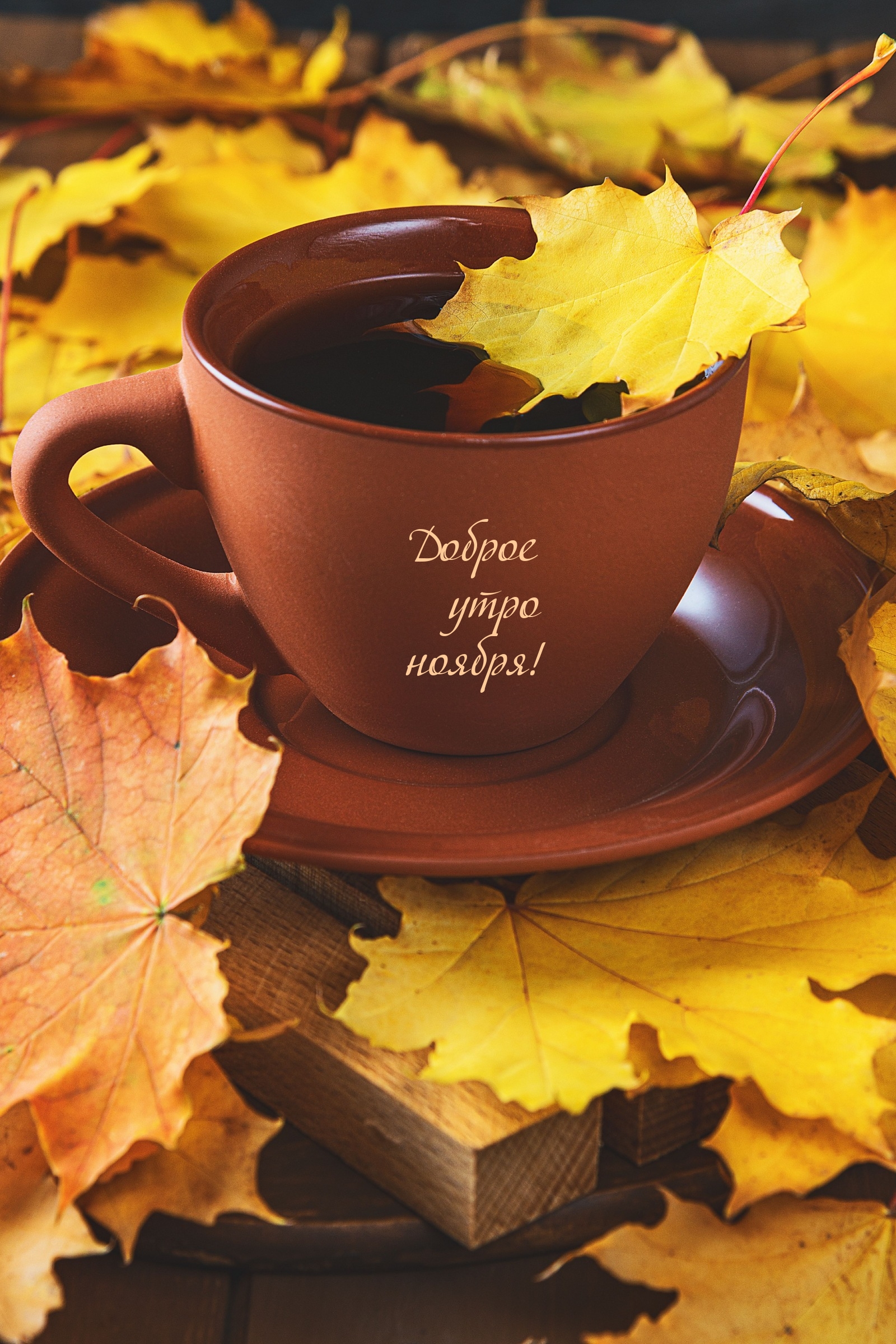 Доброе утро ноября!