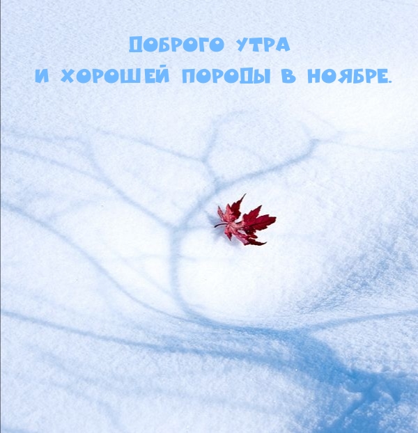 Доброго утра и хорошей породы в ноябре. 