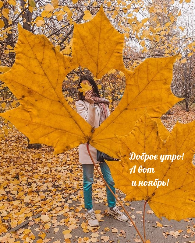 Доброе утро! А вот и ноябрь!