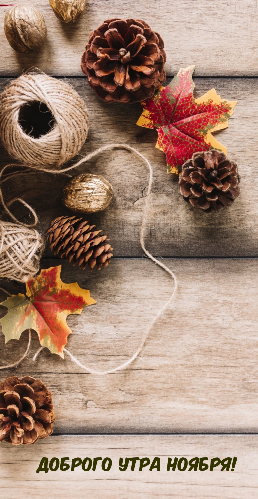 Доброго утра ноября!
