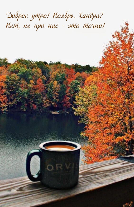 Доброе утро! Ноябрь. Хандра? Нет, не про нас - это точно!