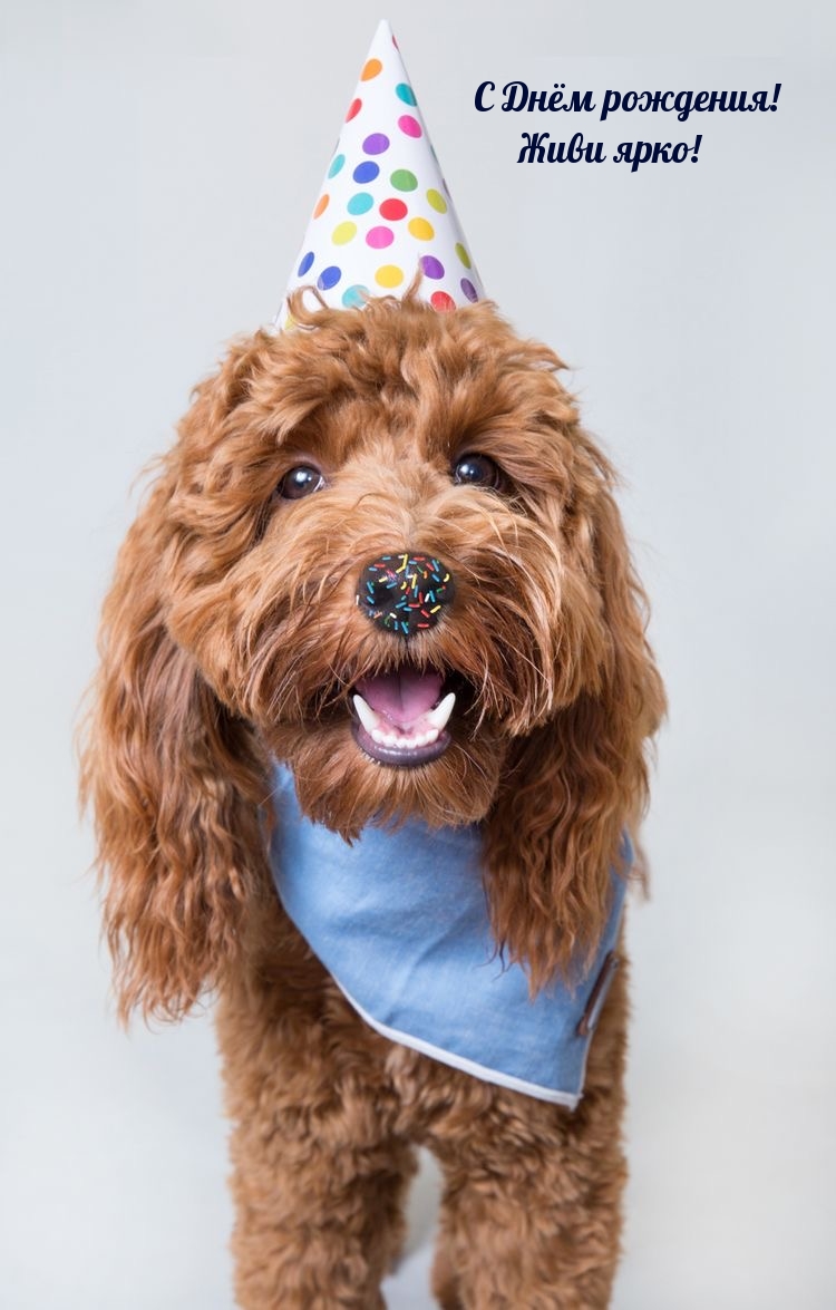 С Днём рождения! Живи ярко!