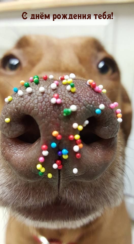 С днём рождения тебя!