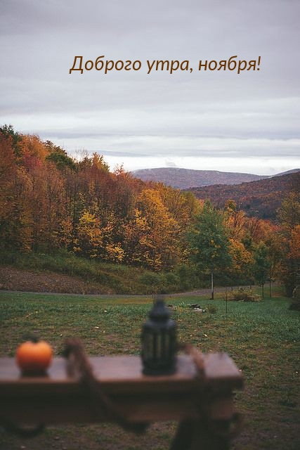 Доброго утра, ноября!