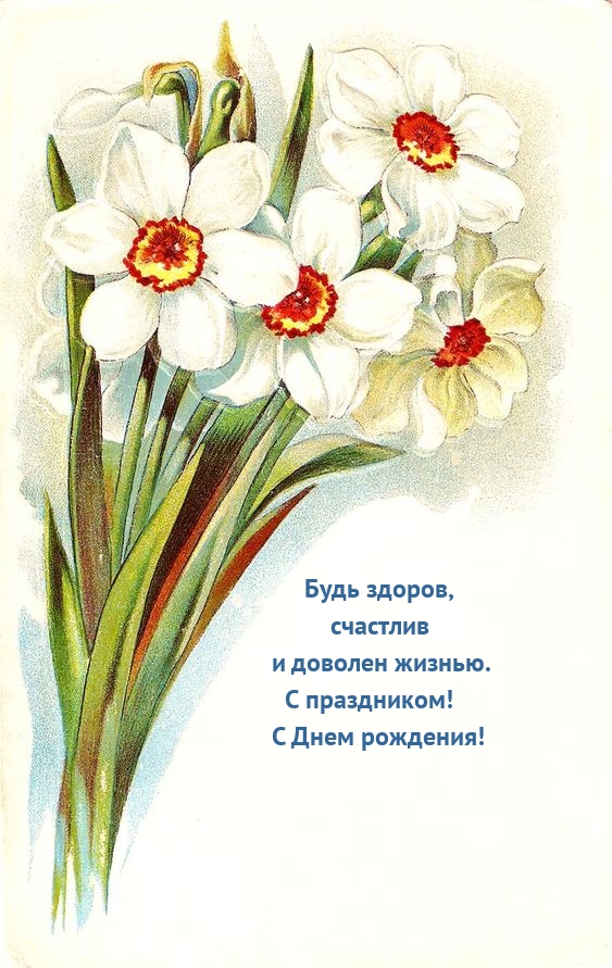Будь здоров, счастлив и доволен жизнью! C Днем рождения!