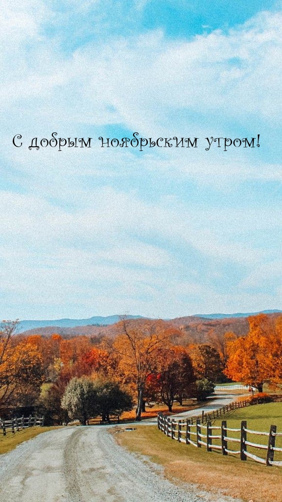 С добрым ноябрьским утром!