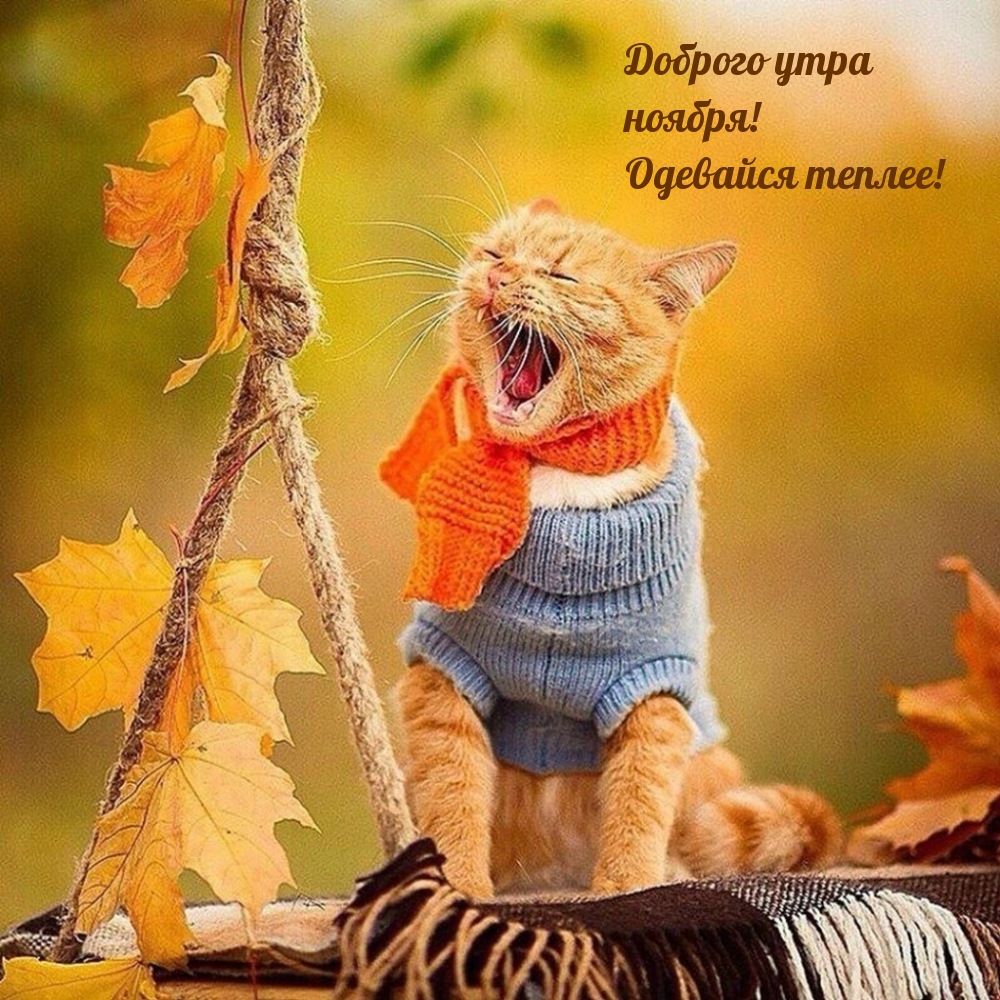 Доброго утра ноября! Одевайся теплее!