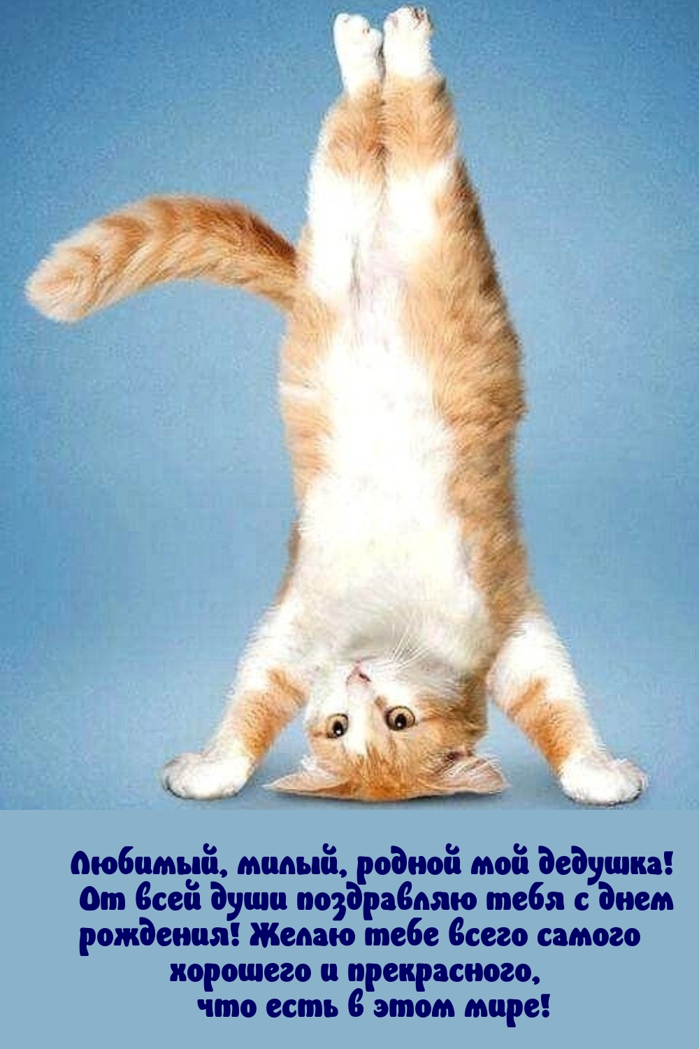 Дедушка! От всей души поздравляю тебя с днем  рождения!