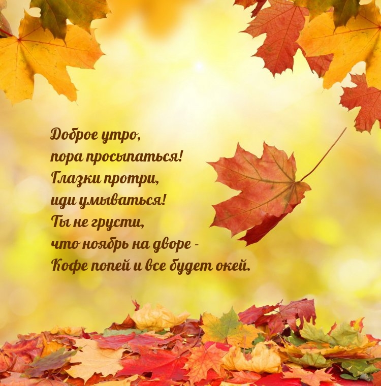 Доброе утро, пора просыпаться! Ты не грусти, что ноябрь на дворе
