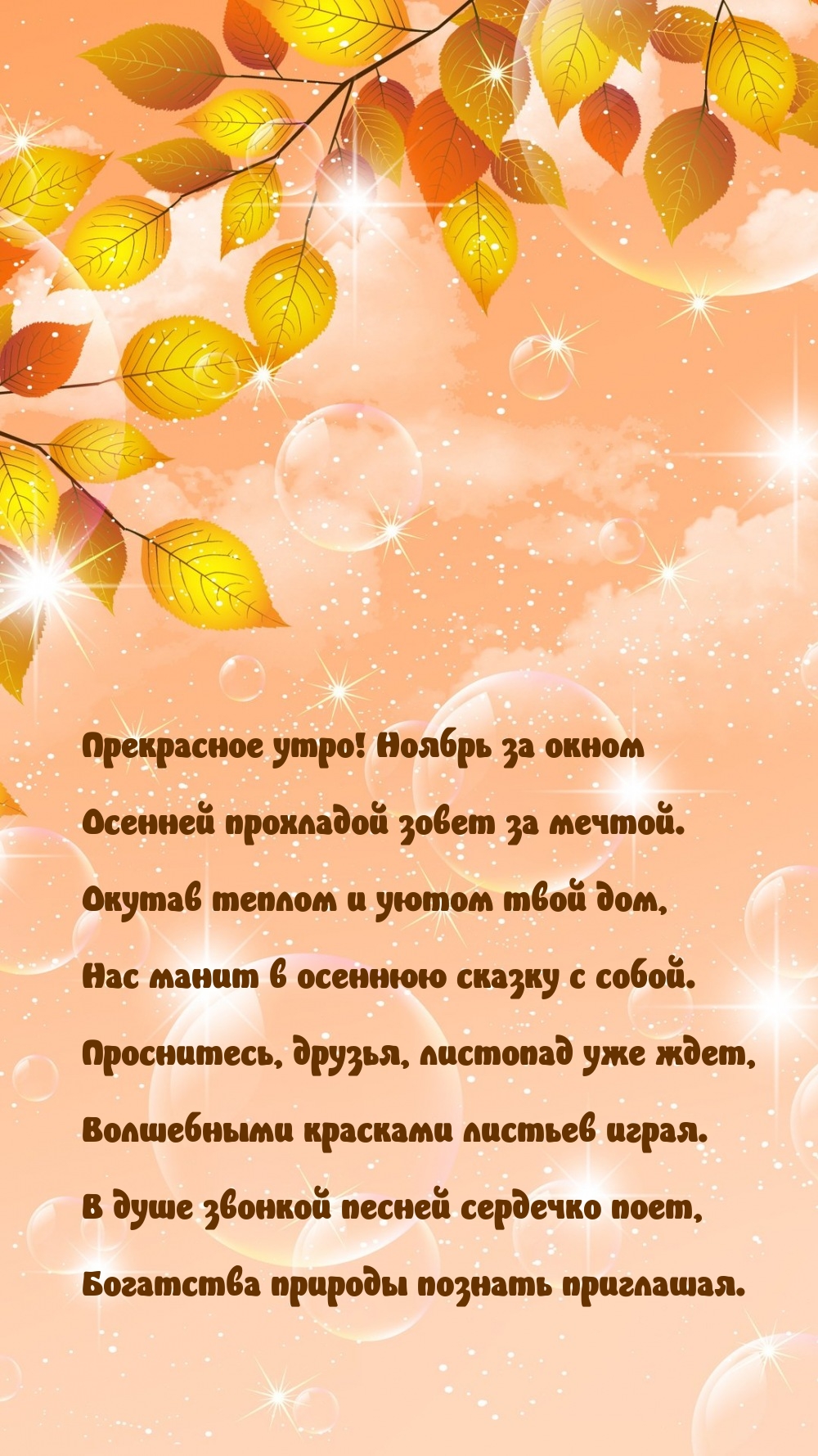 Прекрасное утро! Ноябрь за окном осенней прохладой зовет за мечтой.