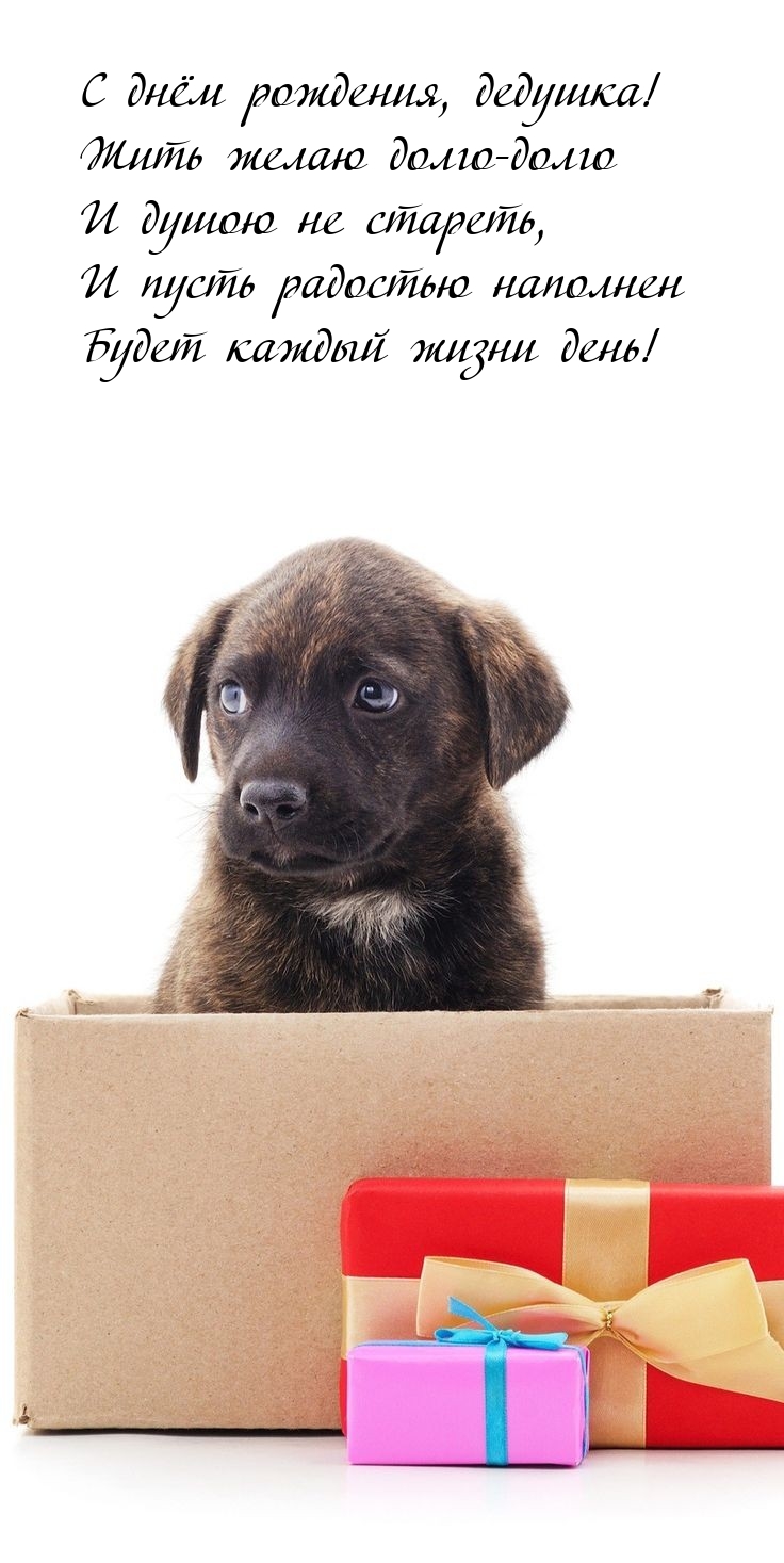 С днём рождения, дедушка! Жить желаю долго-долго