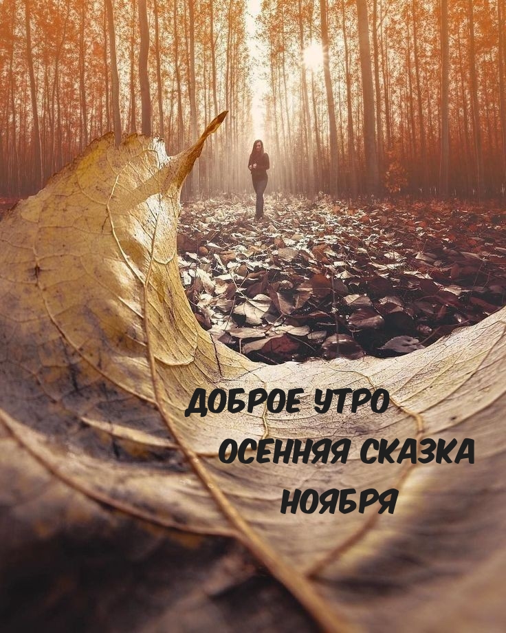 Доброе утро осенняя сказка ноября