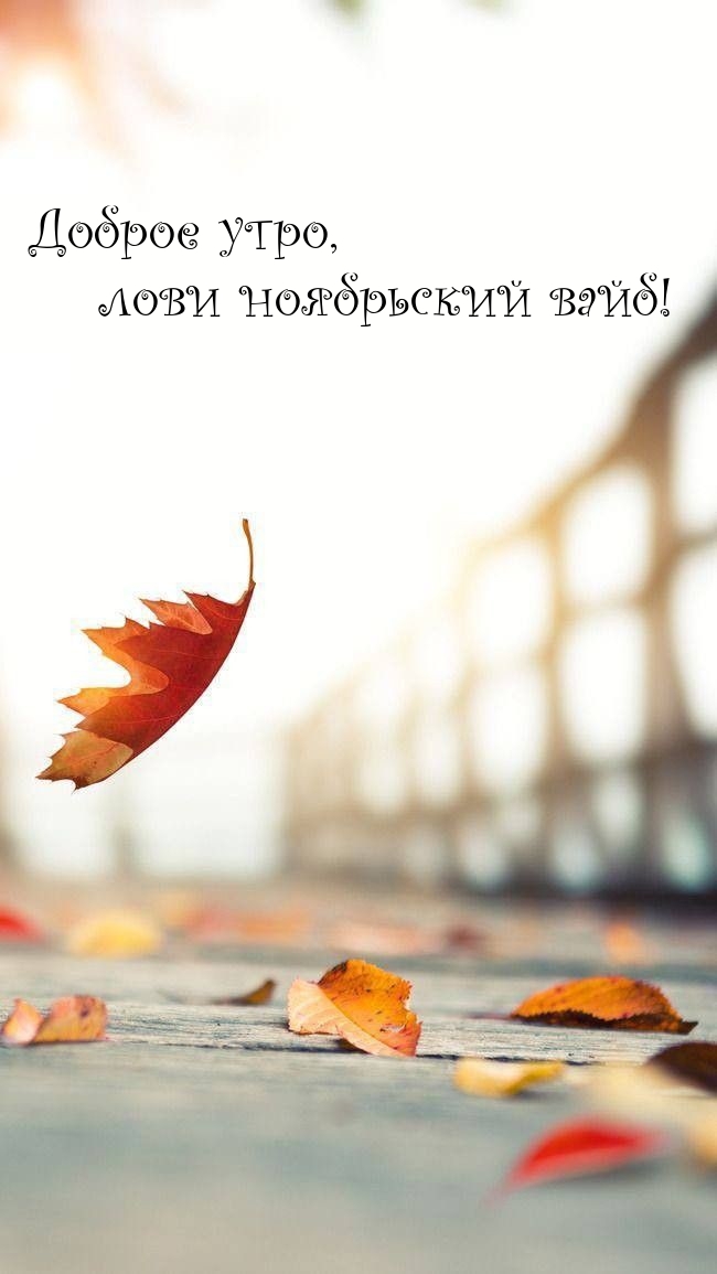 Доброе утро, лови ноябрьский вайб! 