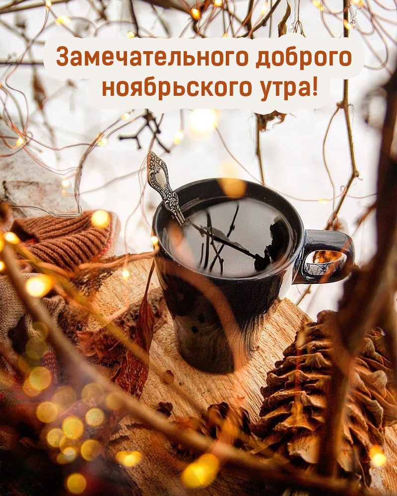 Замечательного доброго ноябрьского утра!