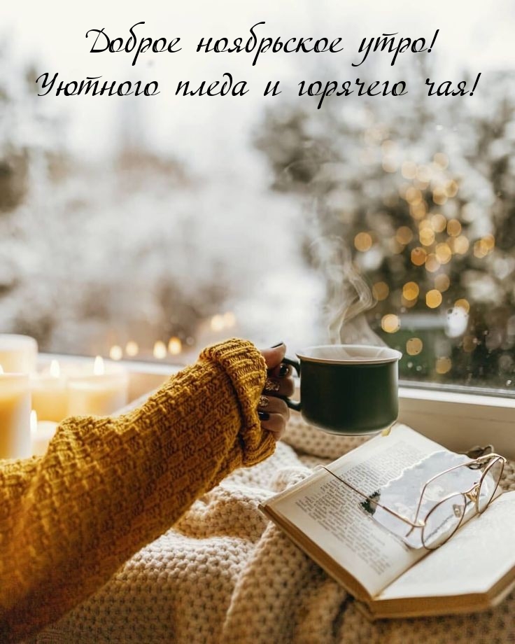 Доброе ноябрьское утро! Уютного пледа и горячего чая! 