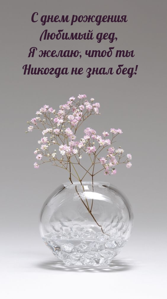 Любимый дед, я желаю, чтоб ты никогда не знал бед!