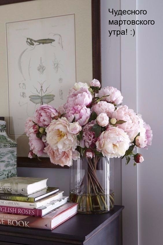 Чудесного мартовского утра! :)