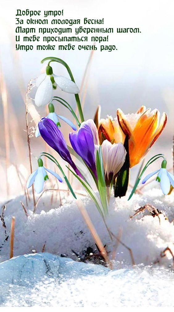 За окном молодая весна! Март приходит уверенным шагом.