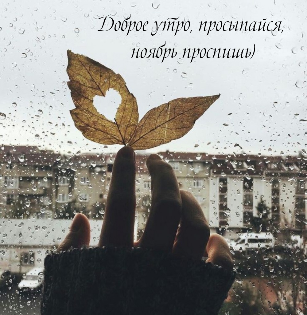 Доброе утро, просыпайся, ноябрь проспишь) 