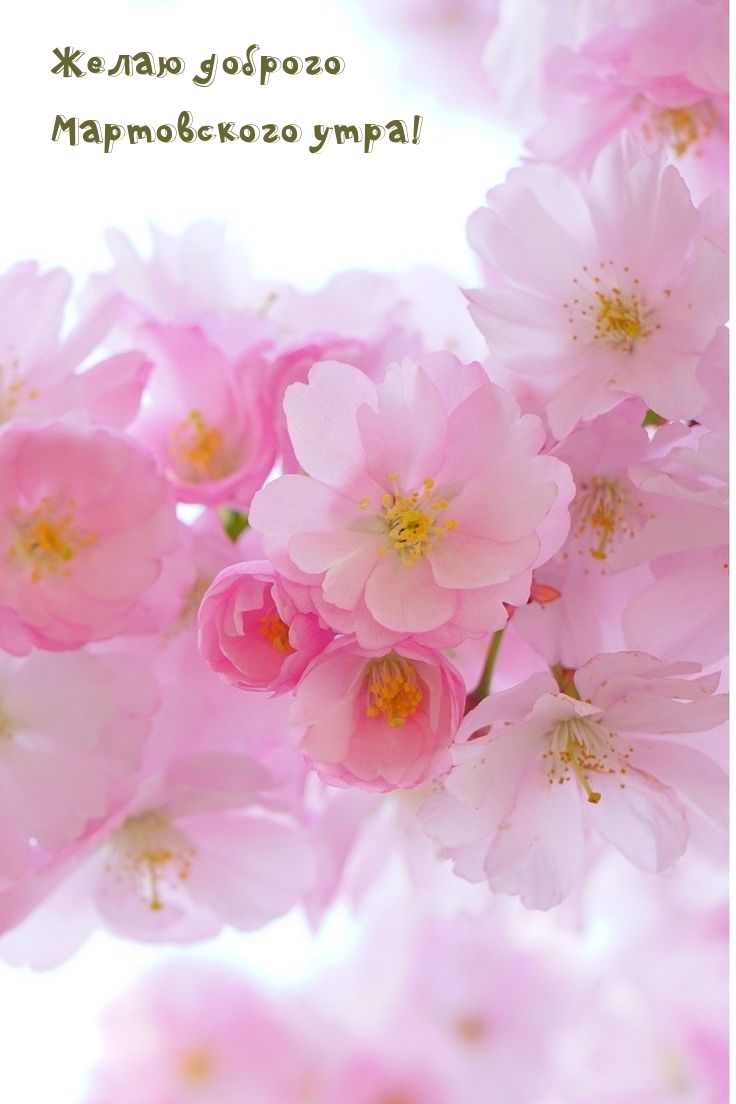 Желаю доброго Мартовского утра!