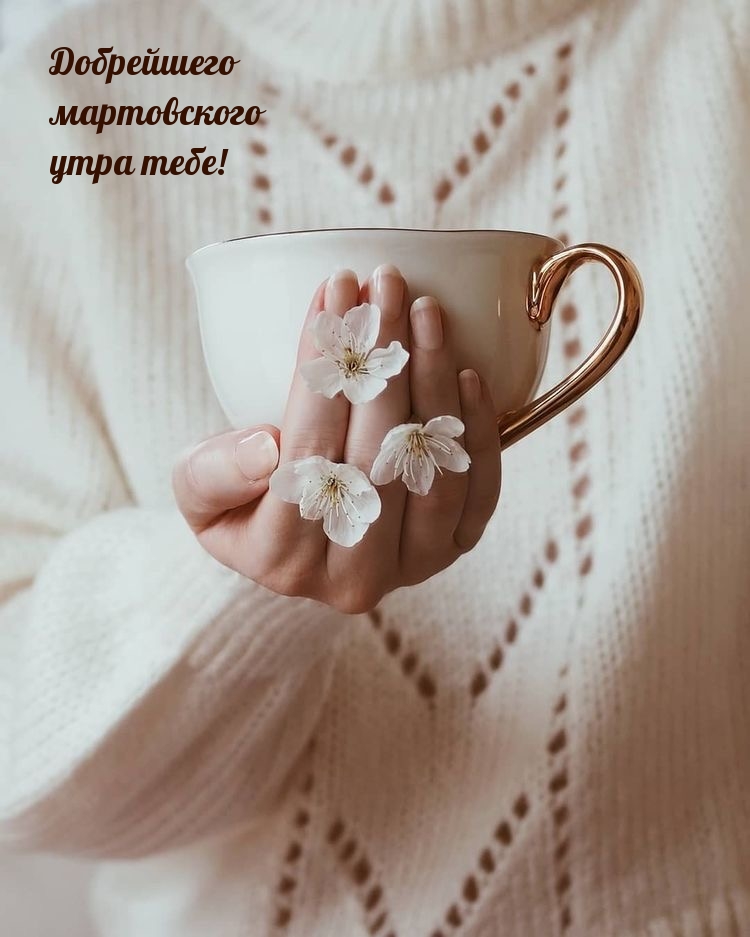Добрейшего мартовского утра тебе!