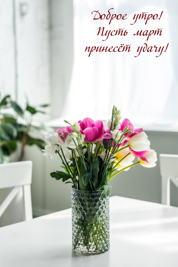 Доброе утро! Пусть март принесёт удачу!