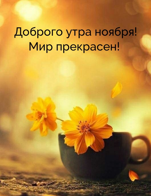 Доброго утра ноября! Мир прекрасен! 