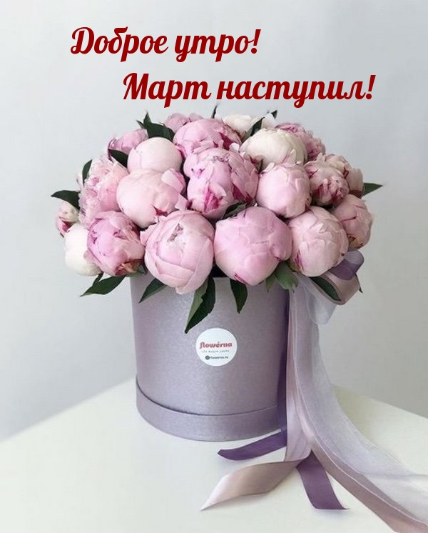 Доброе утро! Март наступил!
