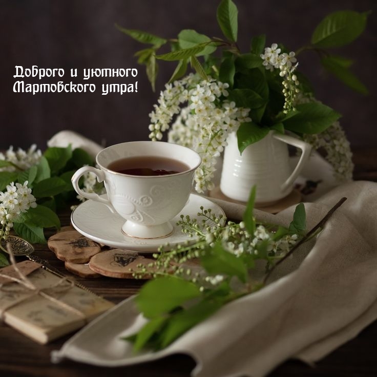 Доброго и уютного Мартовского утра!