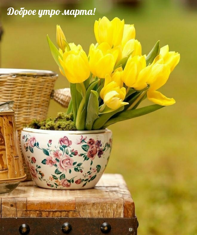 Доброе утро марта!