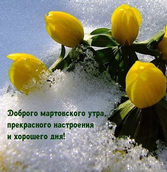 Доброго мартовского утра, прекрасного настроения и хорошего дня!