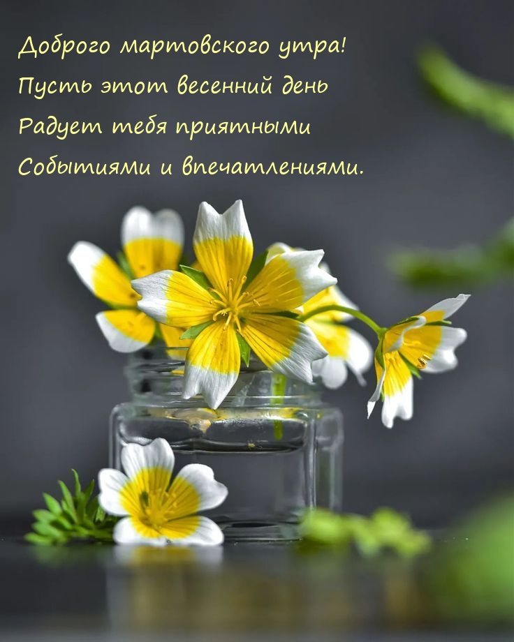Доброго мартовского утра! Пусть этот весенний день Радует тебя
