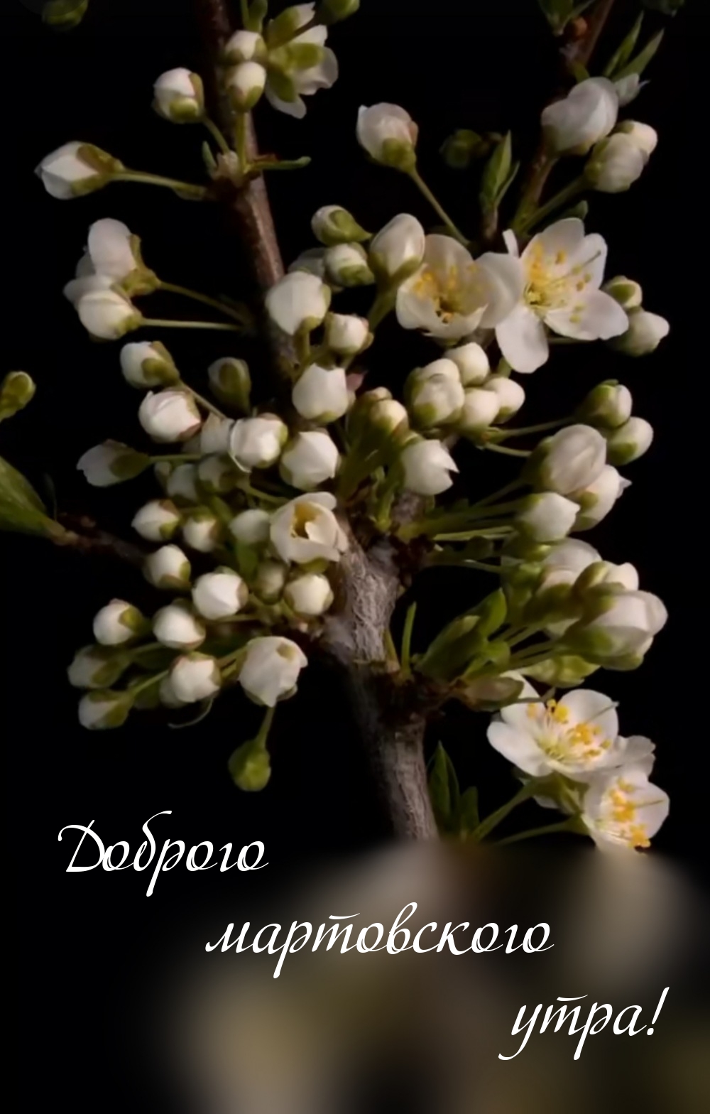 Доброго мартовского утра!