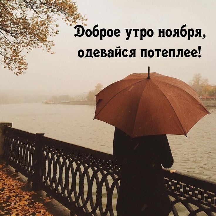 Доброе утро ноября, одевайся потеплее! 